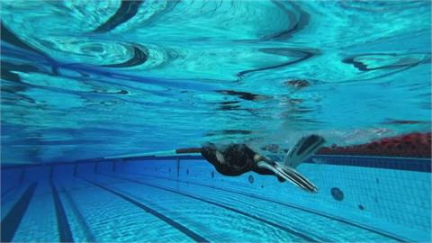 電太貴！法國泳池調低水溫省電費　強制規定泳客穿防寒衣下水