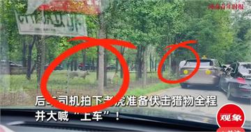 秦皇島野生動物園驚險一幕！兩車擦撞釀四人下車爭執　老虎逼近差點釀禍