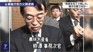 44歲兒啃老在家打電玩 日本前官員殺兒自首