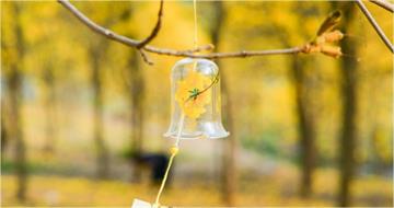 12生肖本周運勢　屬牛事業運奪冠「氣勢最旺」