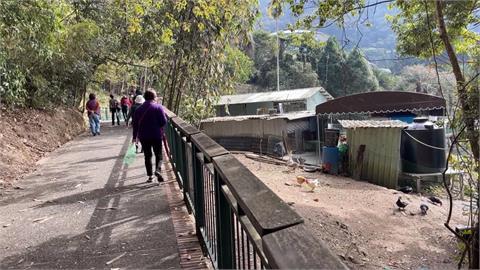日月潭旁雞鴨放養趴趴走　憂排泄物污染水質