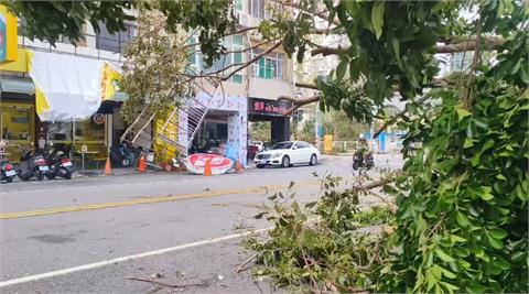 六合夜市好慘  樹木倒一片招牌被吹落掉滿地