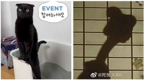 黑貓洗完澡竟變日本傳說「長頸女妖」！驚人畫面曝光引10萬人朝聖