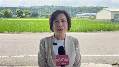 快新聞／台中起風了！何欣純民調急起直追「直逼翻盤」　本人堅定回應