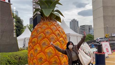 東京鐵塔變身超大鳳梨！日本台灣祭開幕