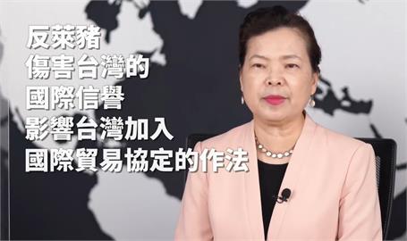 快新聞／公投「投不同意守台灣經濟」　王美花：不能處罰自己、不能傷害下一代
