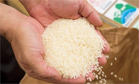 日本米價飆漲爆搶米潮！　划算！民眾出國流行扛米回家
