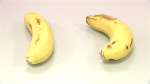  農糧署駁「越彎越好吃」 業者曝香蕉可口關鍵