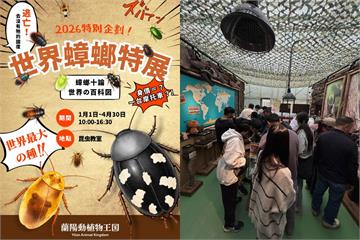 宜蘭「世界蟑螂特展」看會飛的小強　網友問：能帶拖鞋去嗎？
