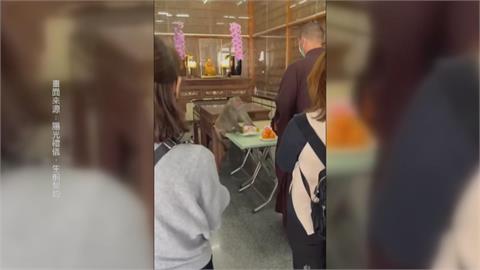 鄰近柴山！　元亨寺塔位區裝防護　猴子轉戰神主區「搶祭品」