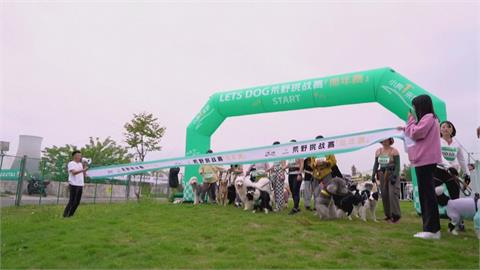 和毛孩出外運動增進感情　上海舉辦狗狗荒野比賽