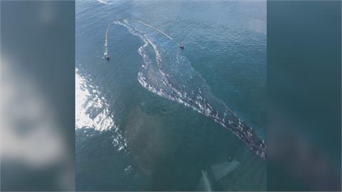 加州漏油衝擊生態　疑船錨撞擊油管釀禍