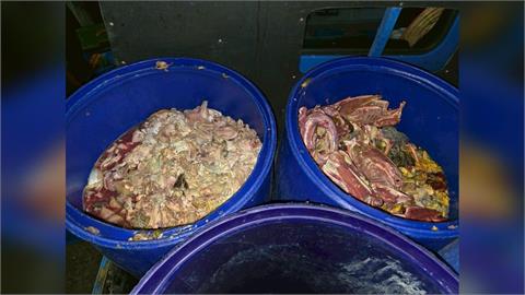 快新聞/新北查獲2養豬場「未蒸煮廚餘」 業者遭重罰206萬