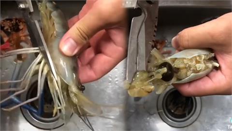 整顆蝦囊輕鬆挖出！男快手處理泰國蝦　「40秒一隻」剪刀精準處理
