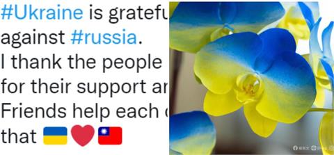 「遙遠的台灣」援助不落後　烏克蘭議員貼2國國旗：情誼永誌不忘 