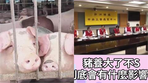 被問豬養大了不殺會怎樣？農業部官員「神回1句」網笑翻：不失禮貌的微笑