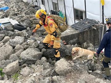 精進搜救能力　北市7搜救犬獲國際瓦礫搜索認證