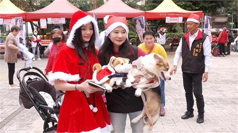 快新聞/應佳妤認了「有特權」!這些事全來自應曉薇 喊冤沒靠不正當方式