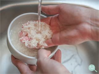 白色洗米水來自米粒澱粉、洗不洗米影響飯粒黏度？國外研究打破迷思！
