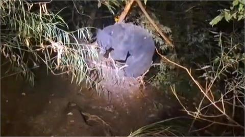 武陵獲救黑熊坎坷  多次中套索致牙齒崩壞而消瘦