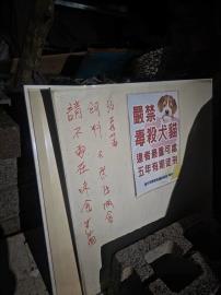台中大里流浪貓疑遭毒殺　中市府查扣證物追查