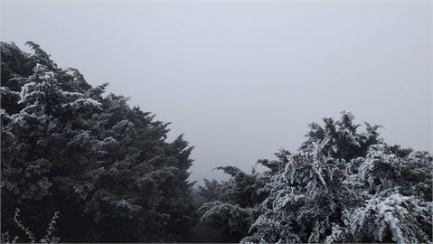 快新聞／冷氣團發威！玉山清晨低溫-2.4度　出現「霜與霧淞」如撒糖霜