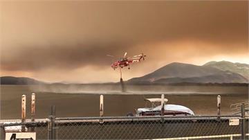 舊金山北部發生野火  燒毀4個台北大林地