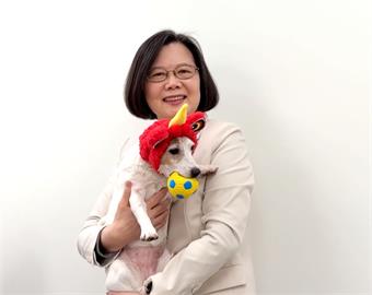 蔡英文抱愛犬樂樂拜年　蘇貞昌合體蘇巧慧念繪本