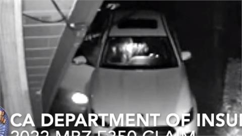 假扮熊攻擊愛車！　美國４車主詐領保險金被逮