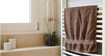 毛巾聞起來不臭＝安全？　醫示警「細菌恐暴增500%」：用2到3次就該換洗