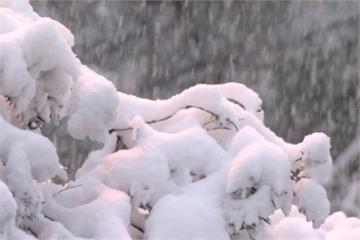 雨下不停，很煩躁？醫曝：冬雨對身心健康影響大　推「4點」預防　　