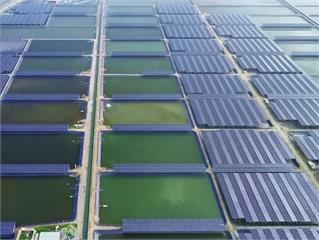 台灣綠電市場10度有3度來自它!綠能集體下殺,它卻獨霸