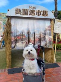 台南文化景點寵物友善　2/17-4/6帶著毛孩入園抽好禮
