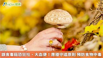 誤食毒菇恐狂吐、大血便！應遵守這原則 預防食物中毒
