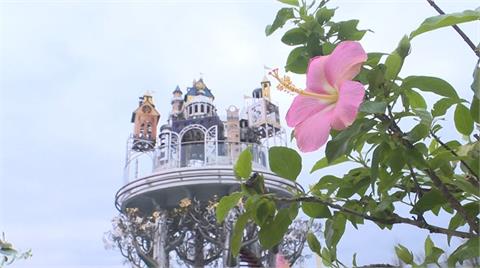 宜蘭夢幻城堡「赫蒂法莊園」出招吸客　應景燈飾全出籠、推占卜花草籤新年試手氣