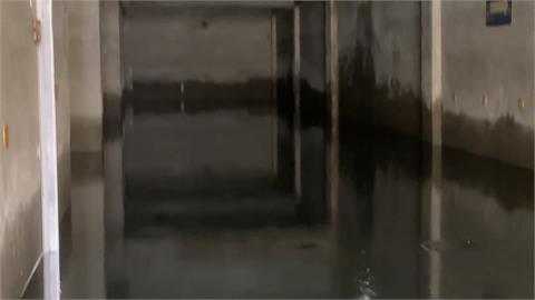 停車場變大魚塭？　20年來反覆積水　國宅地下室撈到孔雀魚
