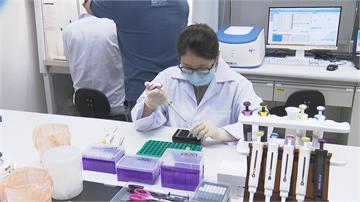 快新聞／國產疫苗第二家！ 聯亞生技拚進二期臨床試驗