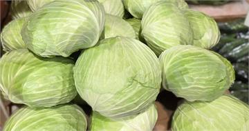 高麗菜產量過剩1顆僅19元！如何挑選、保存方法曝　最長可放2個月