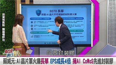 週日趴(影)／蘇威元:AI晶片軍火庫長華 EPS成長4倍 擁CoWoS先進封裝膠