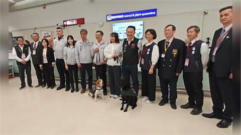 嚴防非洲豬瘟侵台! 卓揆:疫區入境查驗加嚴、檢疫犬上場