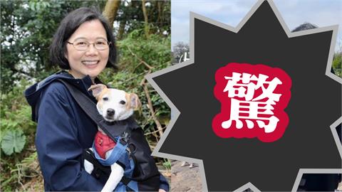 丹麥「白雪公主」竟是蔡英文本人！「遭野獸突襲10秒」互動逼瘋網：我暈爛