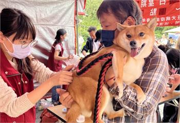世界強化免疫日　新北動保處3招保護毛孩