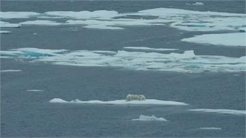 全球暖化速度遠超你我想像！格陵蘭融冰量可覆蓋整個加州