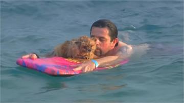 默契大考驗！主人與狗競速游泳賽 