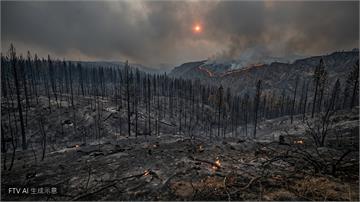 歐洲野火肆虐！西班牙災民返家、法國嚴防火勢蔓延