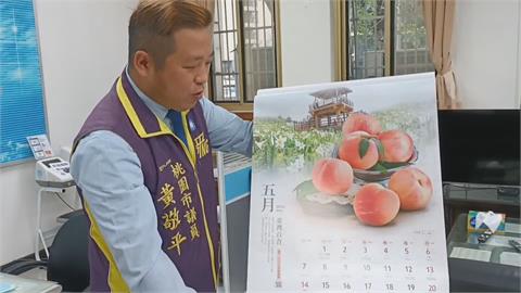 「水果月曆」被控分配不均藍綠互爭　桃市府闢謠
