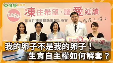 我的卵子不是我的卵子！生育自主權如何解套？