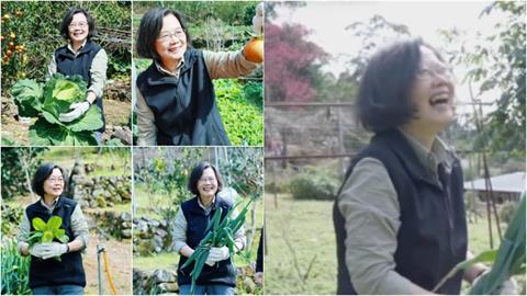 影/退休老人「下地拔菜」竟是蔡英文!對決粗勇青蔥「狂遮被抓包」超羞回嘴了
