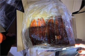 走私蒲燒鰻缺冷鏈保存　海巡嚴查水產品遏止食安風險