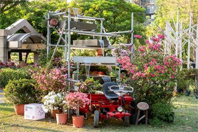 萬金杜鵑花展24日移展大安森林公園 雙北聯手行銷杜鵑